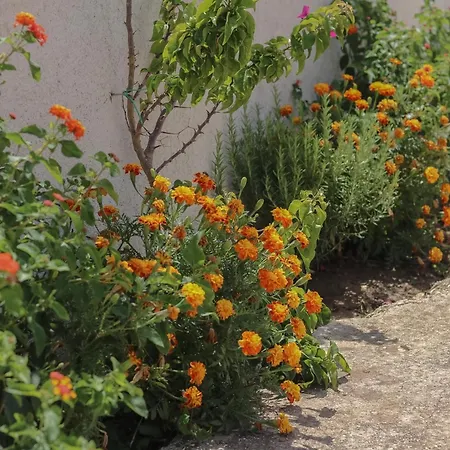 Bliss Hotel 3*